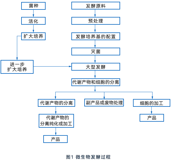 微生物發酵流程 微生物發酵流程