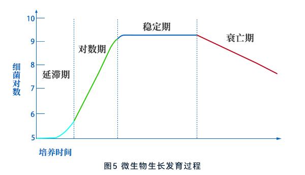 微生物生長發育過程 微生物生長發育過程