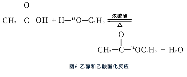 乙醇和乙酸酯化反應 乙醇和乙酸酯化反應