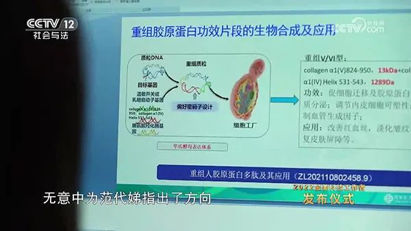 類人膠原蛋白項目 類人膠原蛋白項目