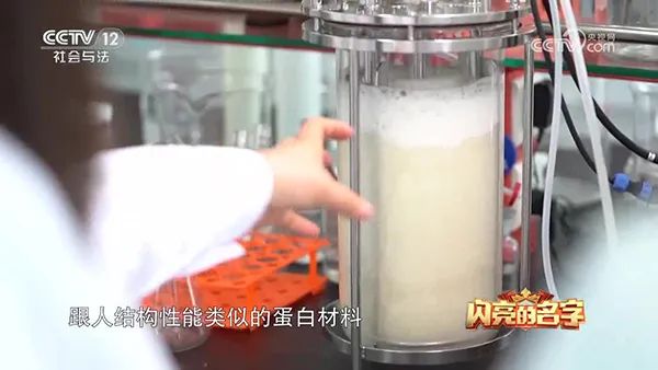 91视频免费下载 91视频免费下载