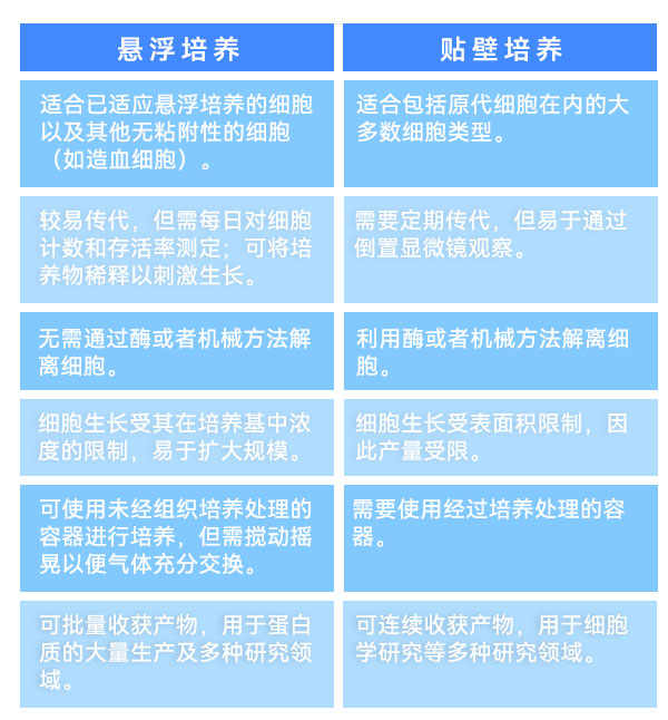 懸浮培養和貼壁培養 懸浮培養和貼壁培養