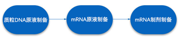 mRNA藥物生產工藝步驟 mRNA藥物生產工藝步驟