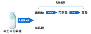 酸奶發酵原理 酸奶發酵原理